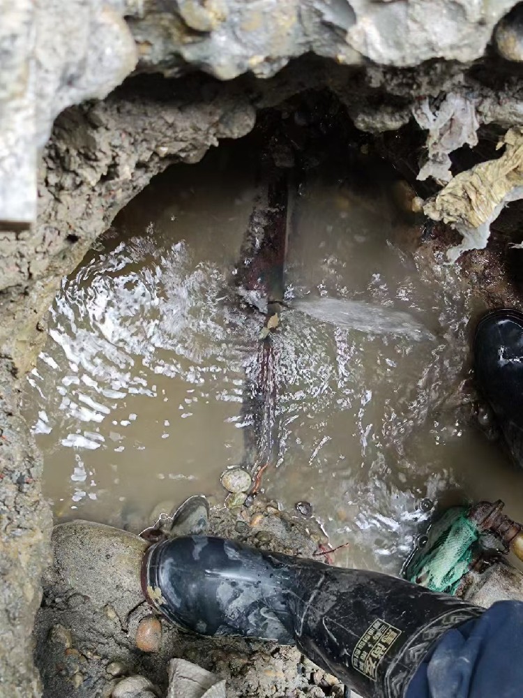 新沂本地绿化水管漏水检测维修